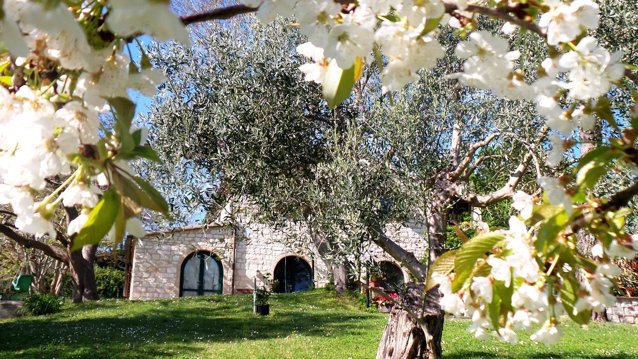 Campo Del Mare *
