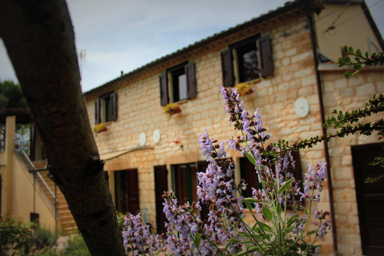 Campo Del Mare *
